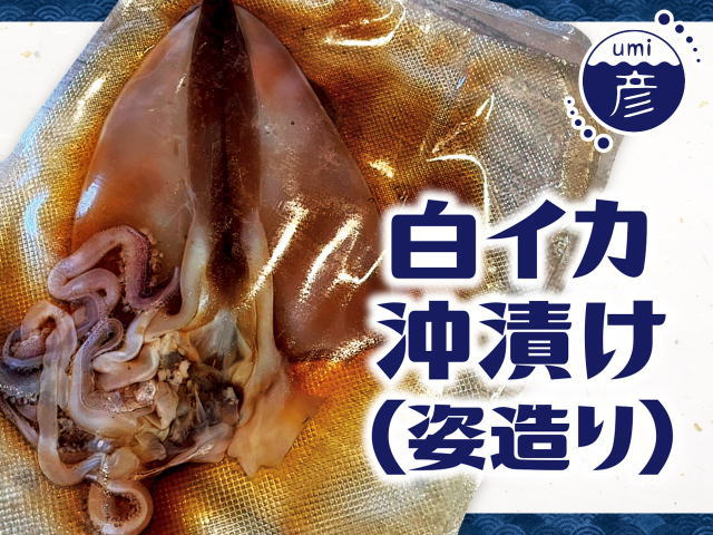 白イカ沖漬け(姿漬け)